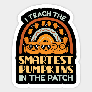 I Teach The Smartest Pumpkins In The Patch, Autumn Fall Gifts for Teachers Sticker